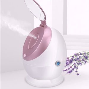 face steamer